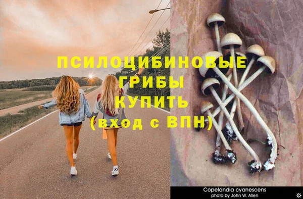 мдпв Сатка