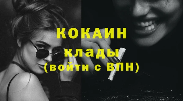дурь Бородино