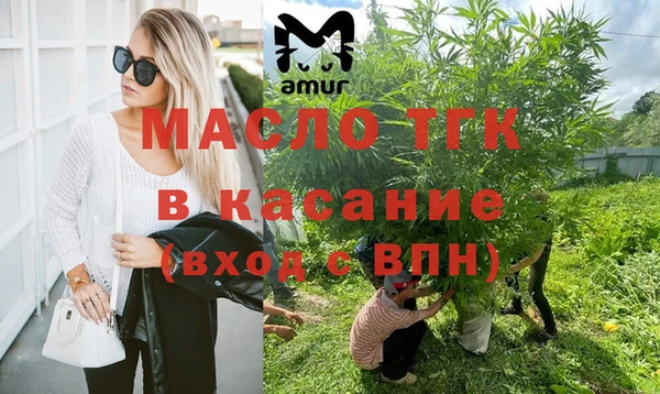 дурь Бородино