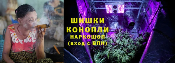 дурь Бородино