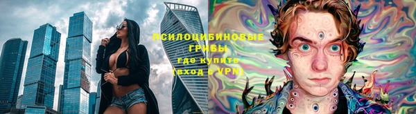 ешки Бугульма
