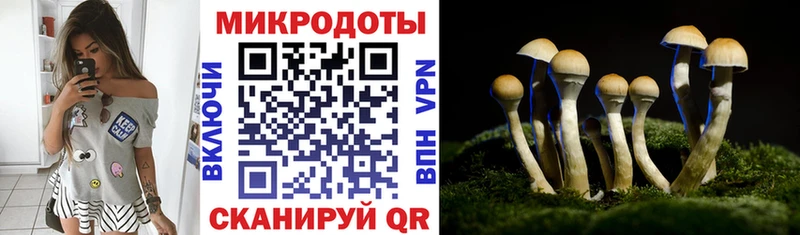 даркнет сайт площадка клад Псилоцибиновые грибы ЛСД Мезень